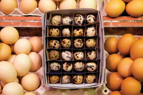 Various types of eggs are available in Link REIT fresh markets. Various types of eggs are available in Link REIT fresh markets.